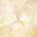 Series SUW No 14 Swan 1914 1915 Hilma af Klint 8 mockup