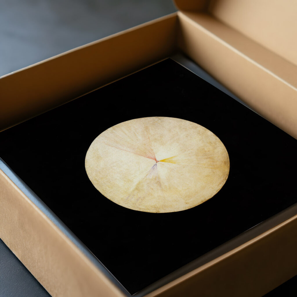 Series SUW No 14 Swan 1914 1915 Hilma af Klint video mockup