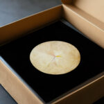 Series SUW No 14 Swan 1914 1915 Hilma af Klint video mockup