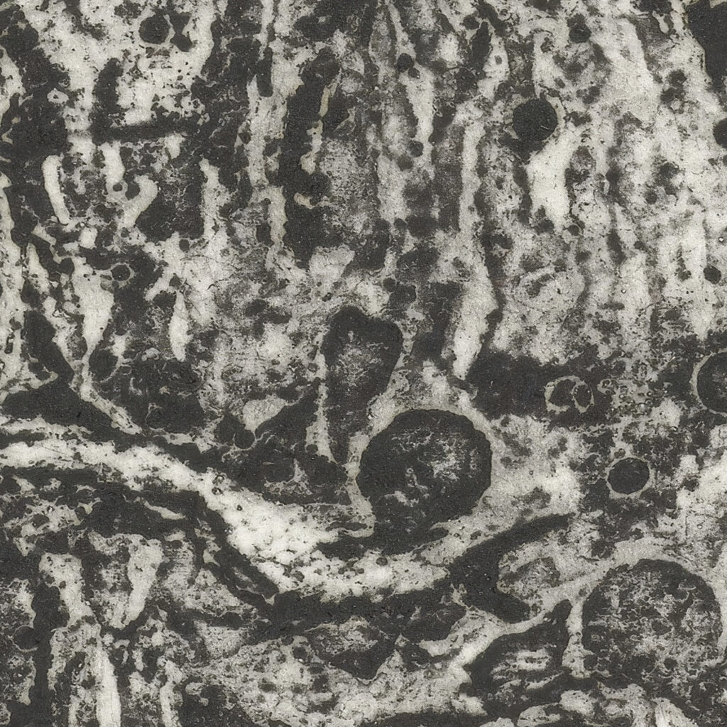 Stier 1937 1969 Yo Sugano 8 mockup