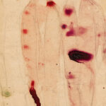 Strase mit Leuten klein 1913 August Macke 8 mockup