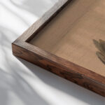 Studie eines toten Fasanes around 1840–1850 Johann Matthias Ranftl close up dark wood mockup