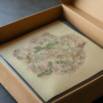 Study of plants 3 August Babberger video mockup