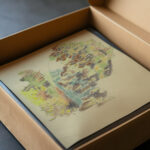 Study of plants 4 August Babberger video mockup