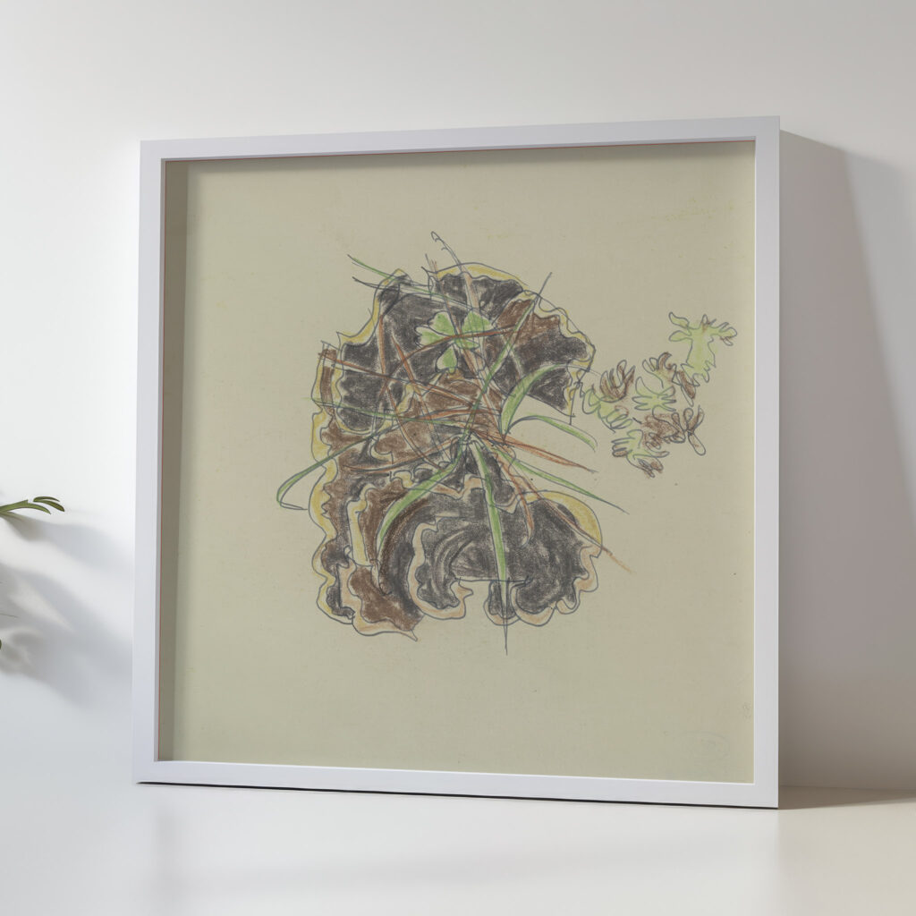 Study of plants August Babberger 5 mockup