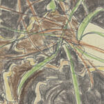 Study of plants August Babberger 8 mockup