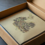 Study of plants August Babberger video mockup