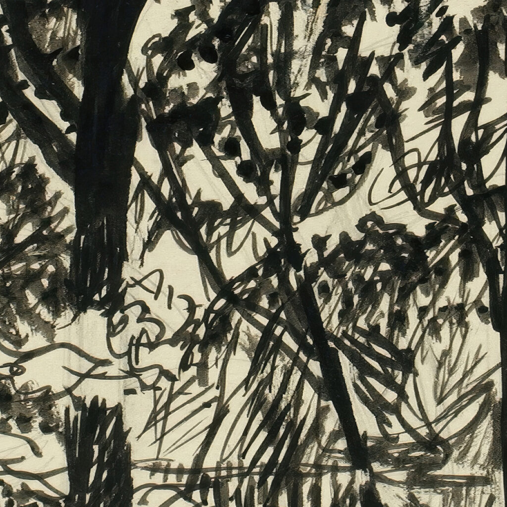 Sun lit Path Henry Lyman Sayen 8 mockup