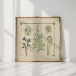 abstract design based on flowers and pinecones 1 1900 maurice pillard verneuil high quality print