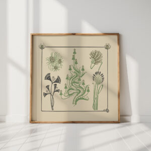 abstract design based on flowers and pinecones 1 1900 maurice pillard verneuil high quality print