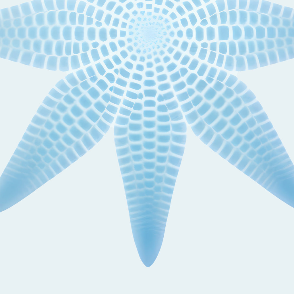 coastal animals 0012 MODERN 3x4 8 mockup