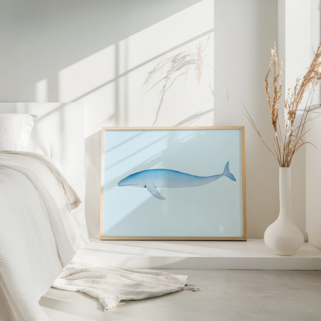 coastal animals 0013 MODERN 3x4 4 mockup