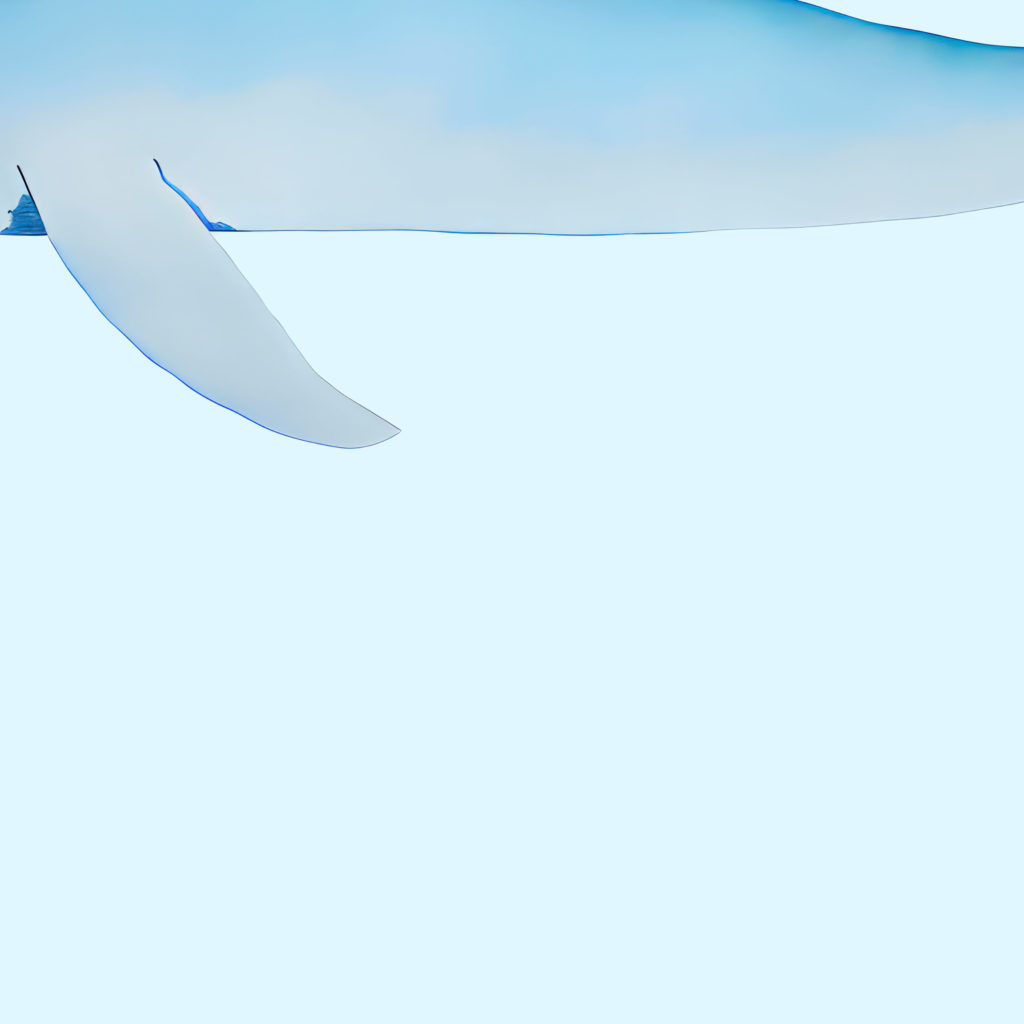 coastal animals 0013 MODERN 3x4 8 mockup