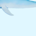 coastal animals 0013 MODERN 3x4 8 mockup