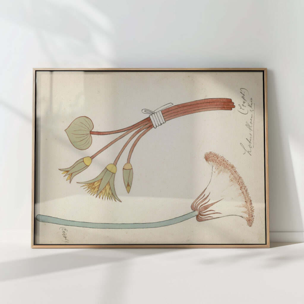 egyptian ornament with lotus flower and bud 1890 johanna van de kamer high quality print