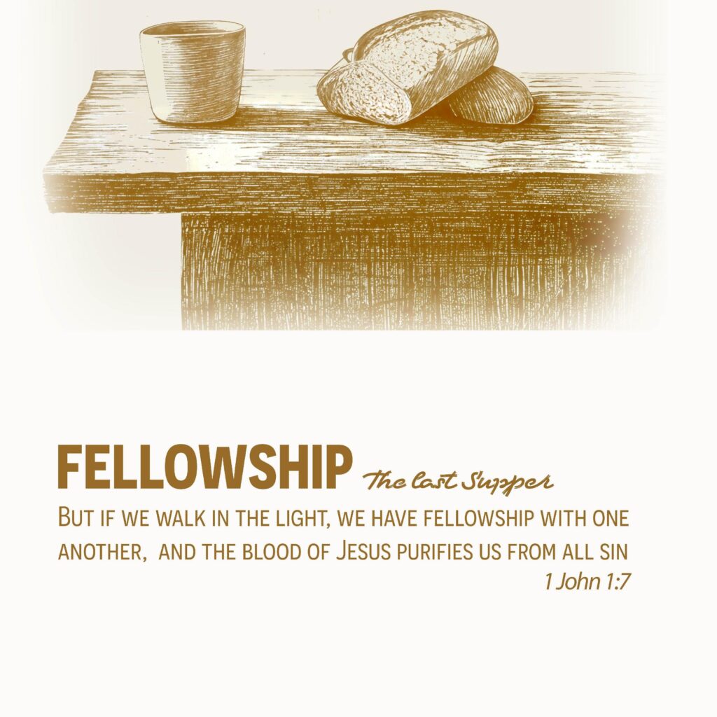 fellowship 8 mockup
