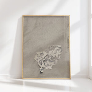 flower 3 1874 carel adolph lion cachet high quality print