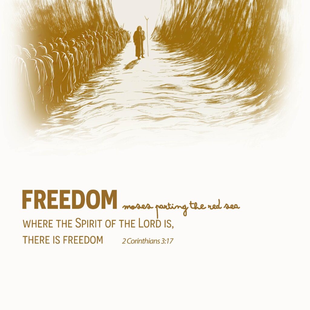 freedom 8 mockup