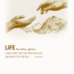 life 8 mockup