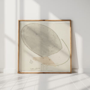 map with dimensions of the old city of manduria 1778 willem carel dierkens high quality print