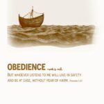 obedience 8 mockup
