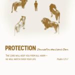 protection 8 mockup