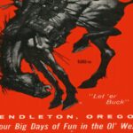 rodeo exhibition 0006 3x4 8 mockup