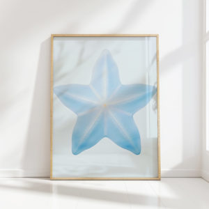 serene blue starfish illustration art print