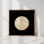 series suw no 14 swan 1914 1915 hilma af klint high quality print