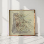 study of plants 2 august babberger high quality print