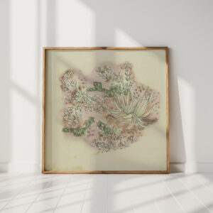 study of plants 3 august babberger high quality print