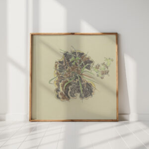 study of plants august babberger high quality print