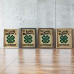 typo 0033 framed posters mockup