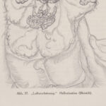 ‘Lufterscheinung Halluzination Bleistift 1922 Hans Prinzhorn 8 mockup