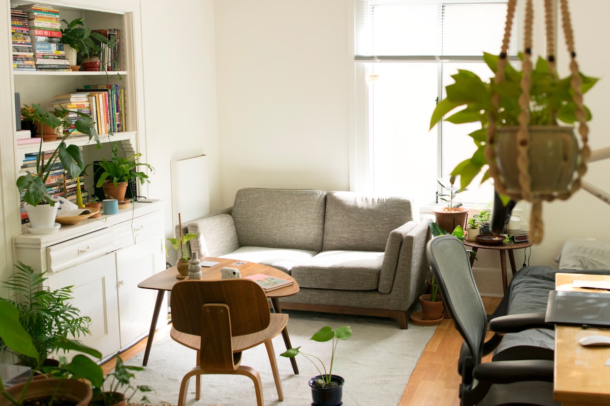 Small sunlit living room corner with a gray sofa, white bookshelf full of books, mid-century wood coffee table, and many leafy houseplants.