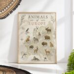 Animals of Europe Map Poster
