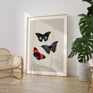 Butterfly Art Print
