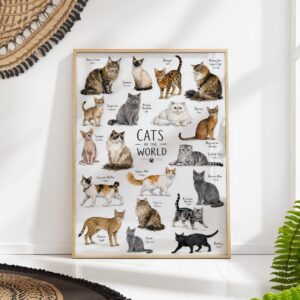 Cats of the World Poster
