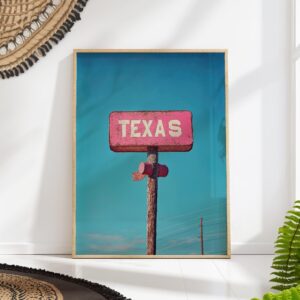 Texas Pink Sign Wall Art
