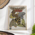 Vintage Butterfly Art Print