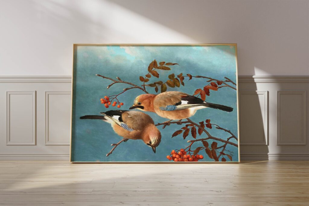 Vintage Jay Bird Print Vintage Jay Bird Print