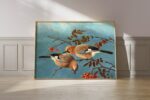 Vintage Jay Bird Print