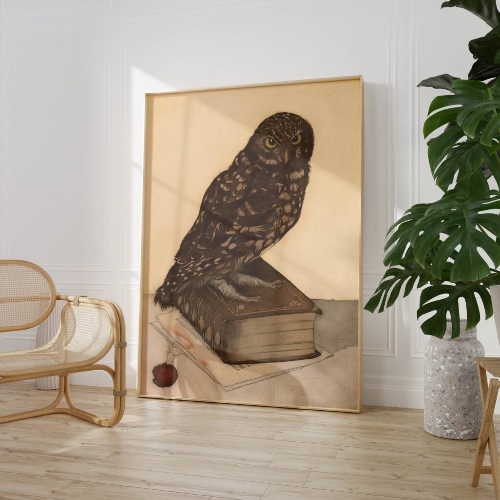 Vintage Owl Print