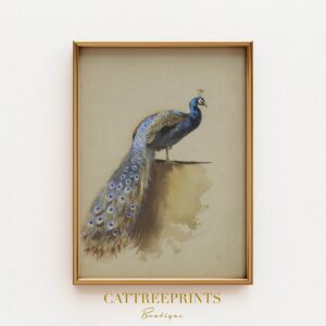 Vintage Peacock Print