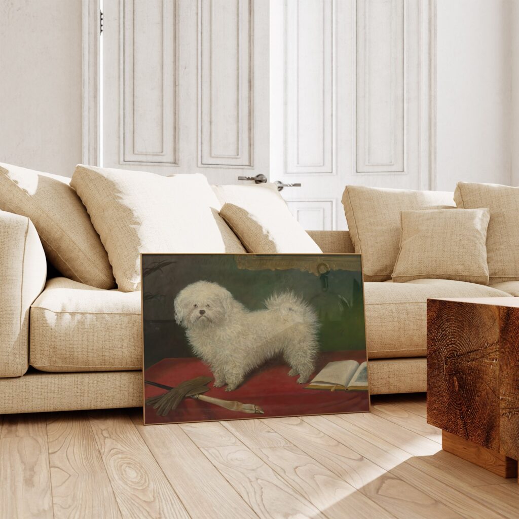 Antique Bichon Frise Print