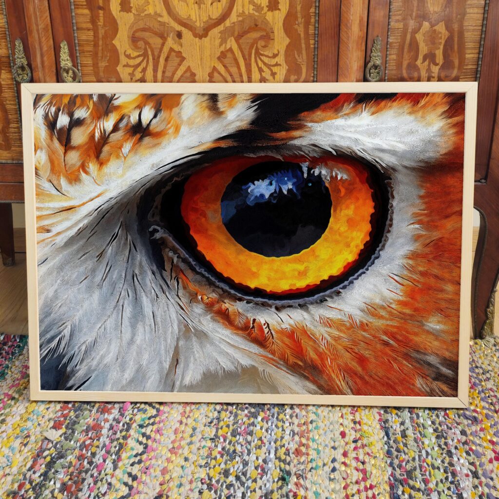 Owl Eye Art Print