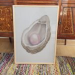 Pink Pearl Oyster Print