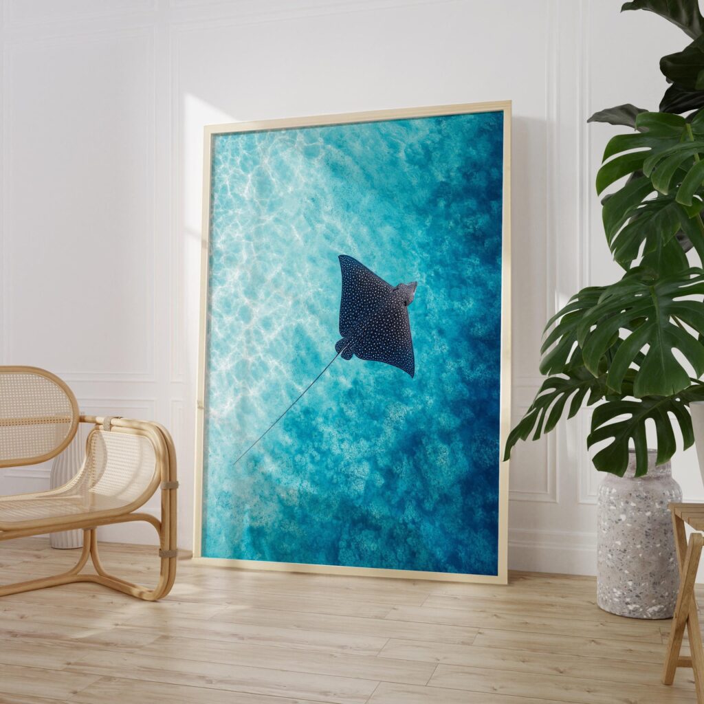 Spotted Eagle Ray Gliding Over a Turquoise Reef Print