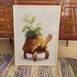 Tortoise Turtle Botanical Print