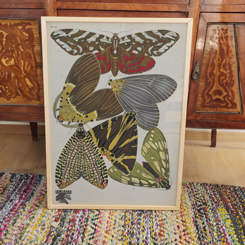 Vintage Butterfly Art Print